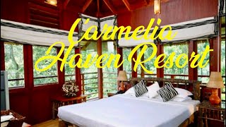 Carmelia Haven Resort Thekkady [upl. by Trellas]