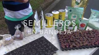 Semilleros en Bandeja 22 [upl. by Seldon330]