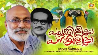 Pachakkiliye Panamkiliye  Mappilappattu Audio Song  Backer Thottummal  Mahroom SM Koya [upl. by Bandler]