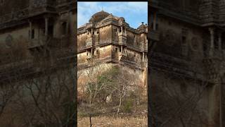 Chittorgarh ka kila kisne banvaya tha fact sorts [upl. by Aneris612]