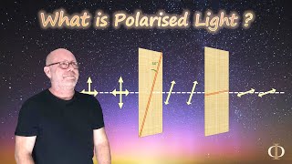 What is Polarised Light Polarisation Part 1  Waves  Physics [upl. by Aicilaana]