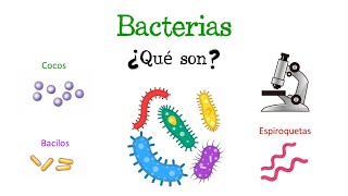 🦠 ¿Qué son las Bacterias 🦠 Fácil y Rápido  BIOLOGÍA [upl. by Freddy]