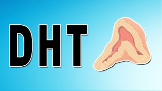 Testosterone Mechanism and Side Effects [upl. by Tessi]