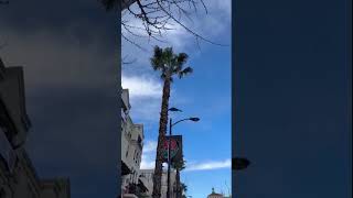 B2 Bomber flies over the Rose Bowl Parade [upl. by Euell]