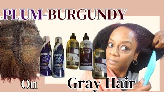 TRANSFORM GRAY HAIR PLUMBURGUNDY Easy Semi Permanent Hair Color Tutorial For Beginners [upl. by Spence]