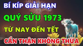 Bí kíp cải vận tuổi QUÝ SỬU 1973 từ nay đến TẾT 2025 KHÔNG CẨN TRỌNG LÀ MẤT HẾT [upl. by Ayotahc]