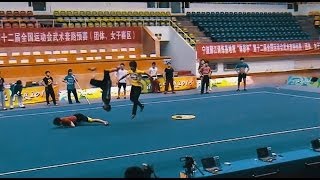 1 vs 2 Wushu Sparring Set Duilian [upl. by Abdulla167]