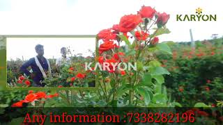 KARYON ORGANIC FARMING IN KANNADA  ROSE flowers 7338282196 [upl. by Jarrod]