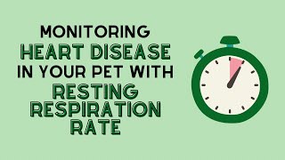 Monitoring Heart Disease in Your Pet with Resting Respiration Rate [upl. by Llevel]