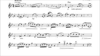 Trumpet PlayAlong  Song for my cat  with sheet music [upl. by Pasquale]