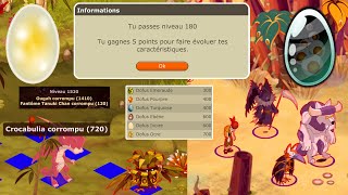 DOFUS RETRO TEMPORIS III 7  DE NOUVEAUX DOFUS [upl. by Regnij831]