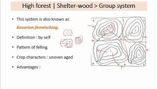 23 RPSCACF 2020  Silviculture system 2 [upl. by Orfurd30]