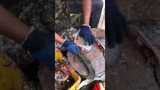 Piranha fish cutting skills fish shorts [upl. by Yramanna790]