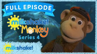 Milkshake Monkey  Aquarium [upl. by Edwin]