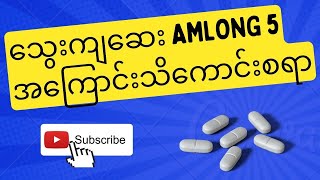 နာမည်ကြီးသွေးကျဆေး Amlong5 အကြောင်း [upl. by Adnek296]