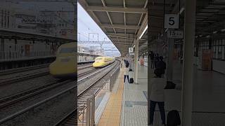 🚅日本の超高速列車🇯🇵  ショートパンツ  ショートパン ツ タレンディグ10k😱 ショートパンツ タレンディグ10k ショートパン 新幹線 e231系 train [upl. by Euqinorev542]