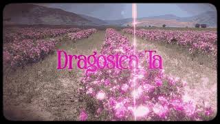 Swisher amp iox  DRAGOSTEA TA Slowed  Reverb [upl. by Nodnar]