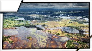 The Pantanal  The worlds largest swamp [upl. by Nnadroj]