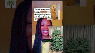 Vekee James and hubby r0mncngly dey sét ther Xmas tree 🌴🌲 youtubeshorts youtubeviravideos [upl. by Eiramadnil549]