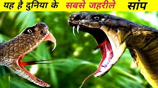 दुनिया के सबसे जहरीले सांप  worlds top 10 most venomous snake  most venomous snake [upl. by Nilauqcaj206]