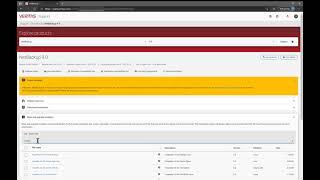 SelfService VM provisioning and Disaster Recovery with NetBackup Instant Access for VMware [upl. by Fenny]