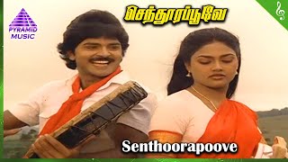 Senthoora Poove Movie Songs  Senthoora Poove Video Song  Ramki  Nirosha  Vijayakanth  Sripriya [upl. by Becki]