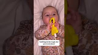 Best product for teething struggles [upl. by Luigino903]