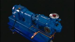 NASH Liquid Ring Vacuum Pump  How It Works [upl. by Yadnus]