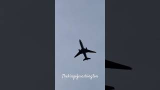 UPS MD11 On Approach To KBFI🤩 md11 ups planes aviation kbfi landing avgeeks [upl. by Liesa]