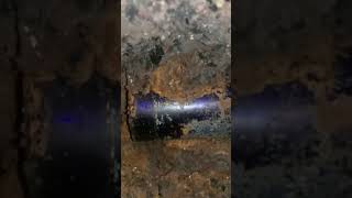 Live excavation of a cobalt blue appocathory glass found bottle digging Glasgow Scotland [upl. by Eilahtan41]