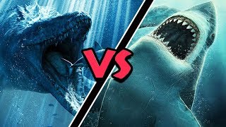 Mosasaurus VS Megalodon – Who Would Win [upl. by Saticilef]