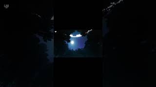 Aliens Caught on Camera Unbelievable Footage Revealed [upl. by Rennob]