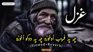 Cha pa fareeb okhwara cha pa duko okhwara Ghani khan Pashto ghazal  slowed and reverb viral [upl. by Adran]