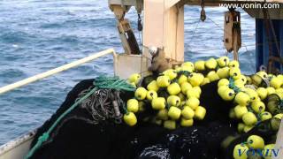 mv Jupiter purse seining for Caplin [upl. by Htebazileharas922]