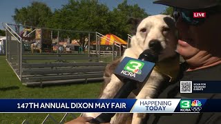 Heres what to know about the 2024 Dixon May Fair [upl. by Eerehs17]