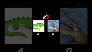 Crocodile drawing vs crocodile [upl. by Mile]