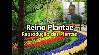 Reprodução das Plantas [upl. by Lyj]