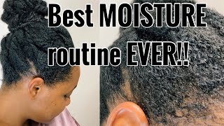 MASTER your moisturising routine If you have dry natural hair this is a MUST WATCH [upl. by Annaoj]