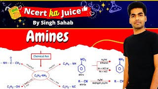 Amines  NCERT ka Juice  Class 12 Organic Chemistry [upl. by Nivad]