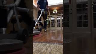 The Art of Floor Cleaning Unlock the secrets to achieving spotless floors [upl. by Yrian]