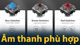 Đánh giá Âm thanh của 3 loại bàn phím cơ RedBlueBrown Switch  Sound test Keyboard [upl. by Olotrab787]