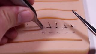 Horizontal Mattress Suture Technique [upl. by Asserac]