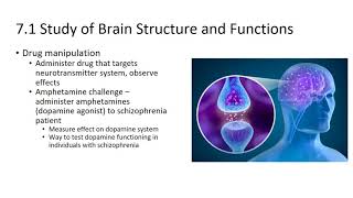 7 Psychophysiology Methods and Development of the Nervous System [upl. by Aidul355]