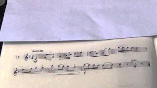 Violin Grade 4 Sight Reading No 11 Animato [upl. by Alicec181]