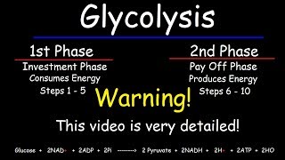 Glycolysis  Biochemistry [upl. by Imik]