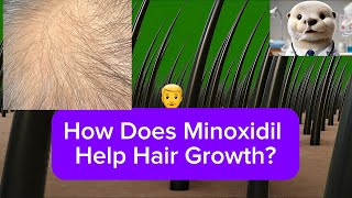 How Does Minoxidil Help Hair Growth [upl. by Cirenoj862]