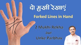 दो शाखा वाली रेखाओं का फल कैसे करें  2 mukhi rekha  biforked  lines on palm and their effects [upl. by Eisnil]