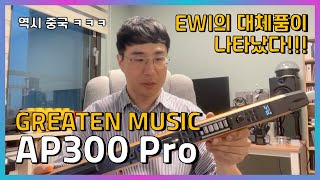 GREATEN AP300 PRO 리뷰 [upl. by Marvel772]