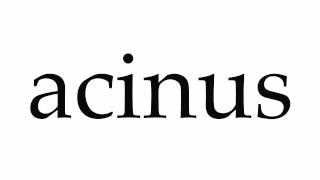 How to Pronounce acinus [upl. by Ezmeralda]