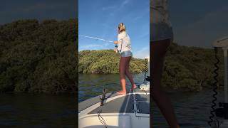 Fishing in Homosassa Full video coming soon shorts fishing keepinitcountry redfish florida [upl. by Sitnerp935]